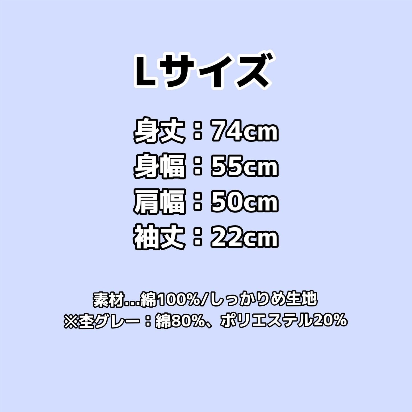 Tシャツ《Lサイズ》